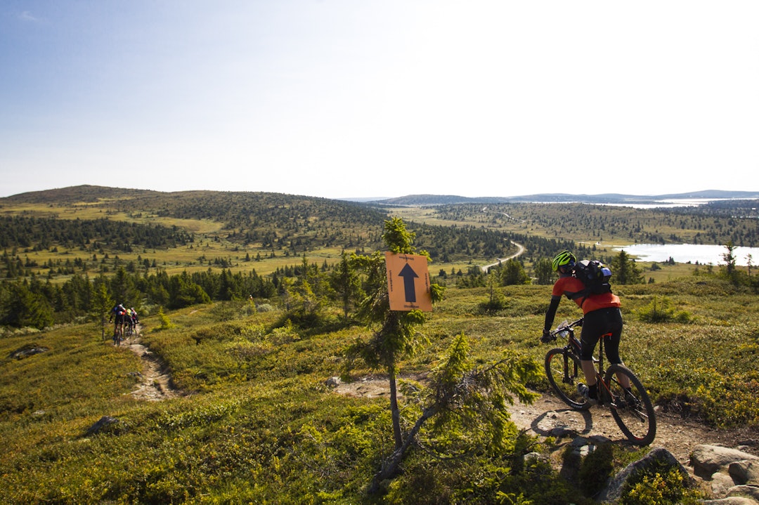 Følg merkingen og folket _KHK5705