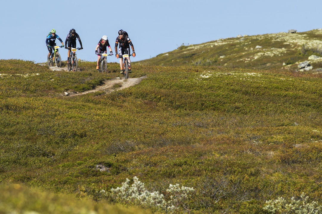 Fjellet på sitt flotteste. _ES_5104