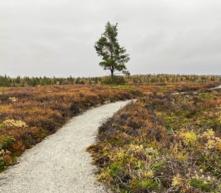EN NY, RASK, GRUSSTI: Den nye grusstien på Hemsedalsfjellet i all sin prakt. Foto: Erik Arentz-Hansen. fanitullrunden på gravel