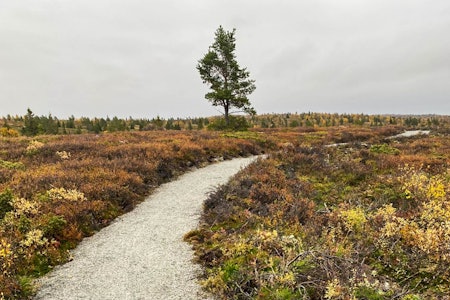 fanitullrunden på gravel