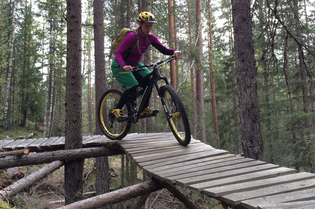 IMG_0055_2 IMG_0055_2