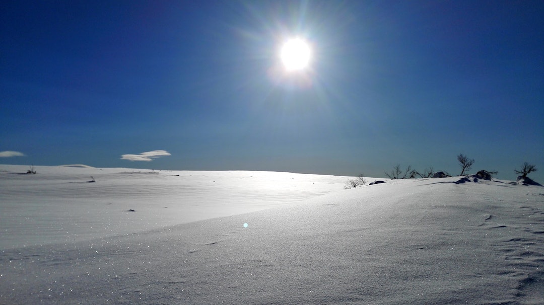 Store deler av turen gikk på upåklagelig føre. Foto: Marius Bryn Kremskare - Marius Bryn 1400x768