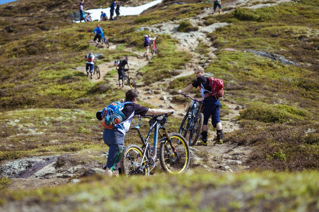 19116668270_aee6e35765_k 19116668270_aee6e35765_k