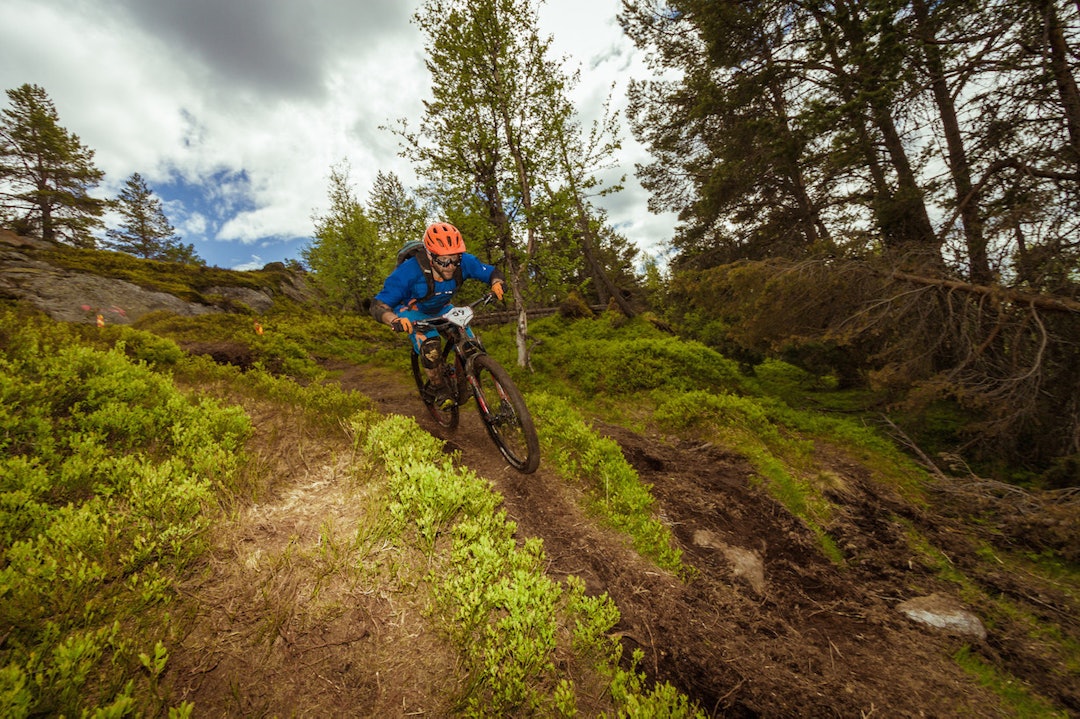 19117230530_1406ebd0a0_k 19117230530_1406ebd0a0_k