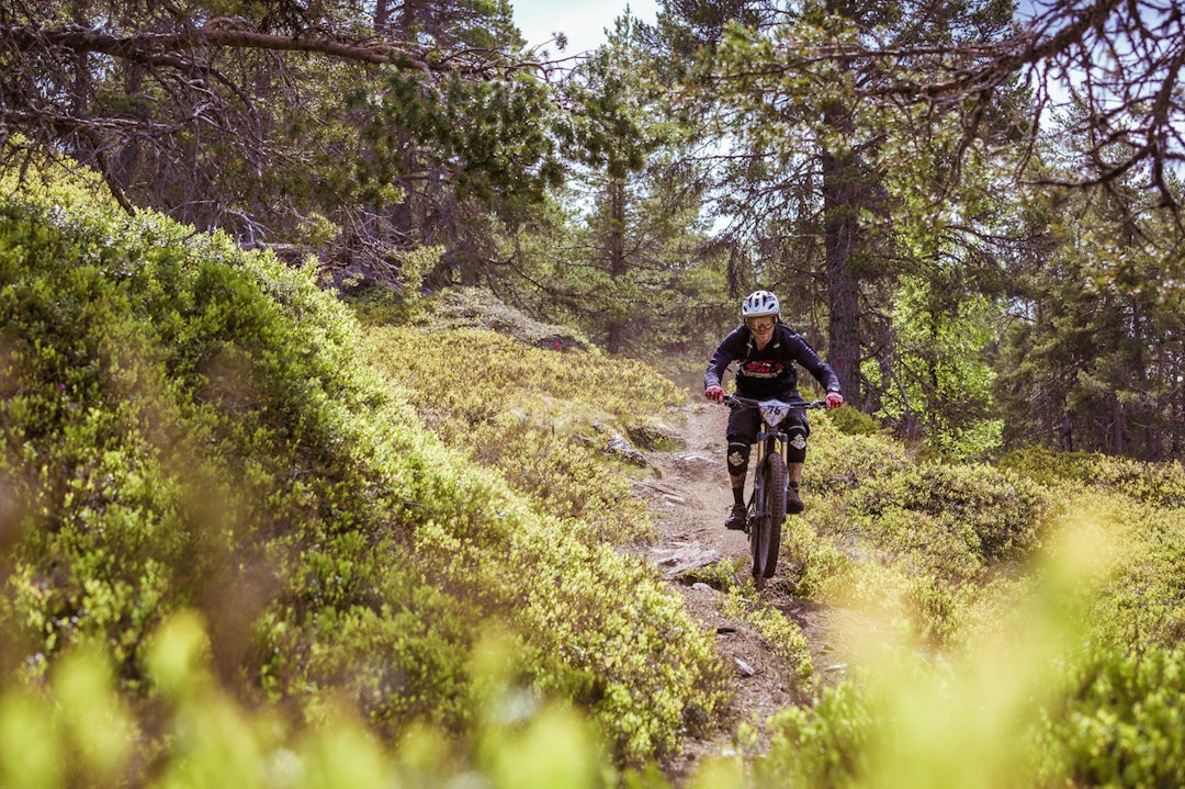 19117260700_ffcc76c7f3_k 19117260700_ffcc76c7f3_k