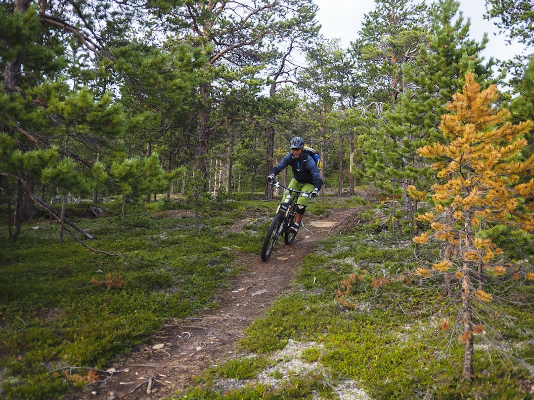 SkibotnStifestival2014-EspenKarlsen (27 of 50) SkibotnStifestival2014-EspenKarlsen (27 of 50)