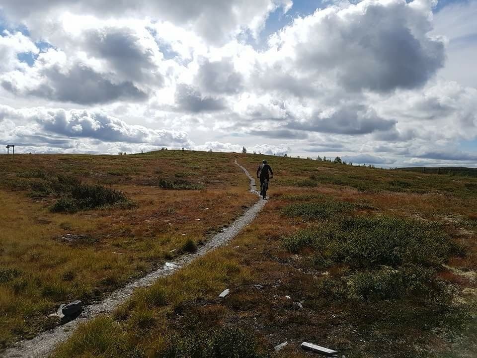 Langturer i Birken-relevant terreng har vært en viktig del av oppkjøringen mot UltraBirken. Foto: Silje Holmsen Svenn Fjeldheim 2 - 2017 - Silje Holmsen