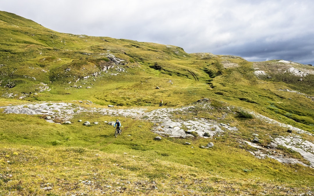 SkibotnStifestival2014-EspenKarlsen (12 of 50) SkibotnStifestival2014-EspenKarlsen (12 of 50)