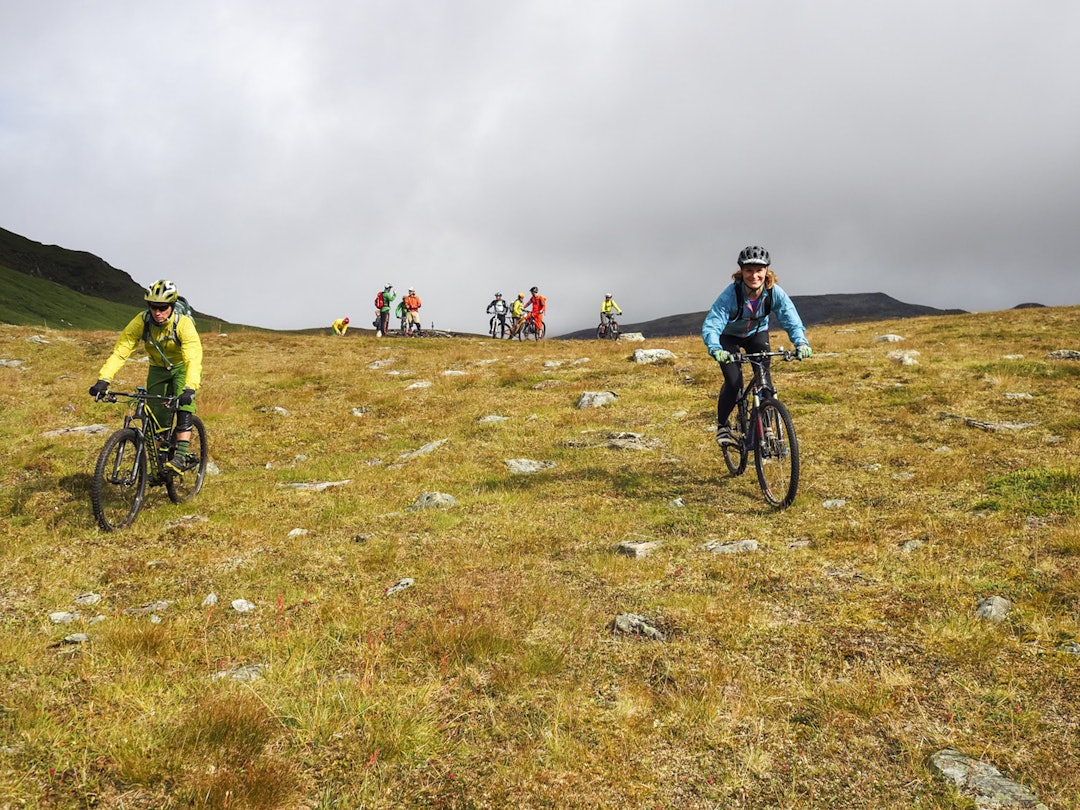 SkibotnStifestival2014-EspenKarlsen (8 of 50) SkibotnStifestival2014-EspenKarlsen (8 of 50)