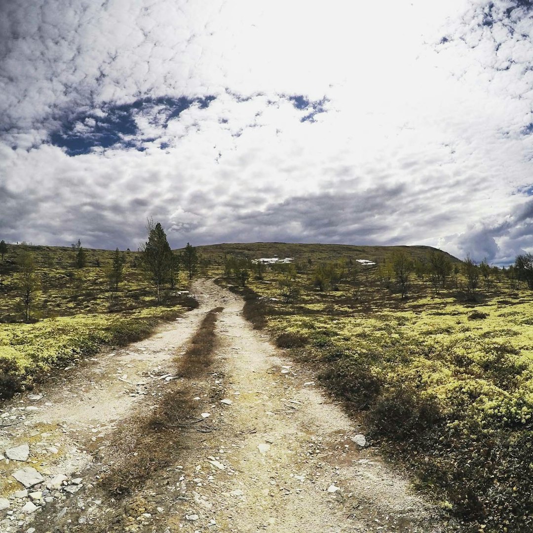 DRØMMETERRENG: Fint fjellandskap under Trans-Østerdalen. IMG_7553