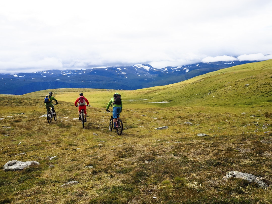 SkibotnStifestival2014-EspenKarlsen (7 of 50) SkibotnStifestival2014-EspenKarlsen (7 of 50)