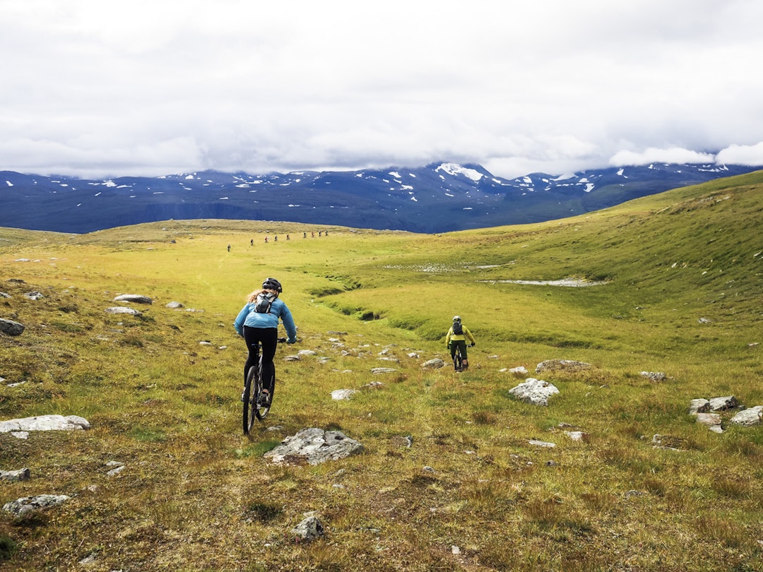 SkibotnStifestival2014-EspenKarlsen (4 of 50) SkibotnStifestival2014-EspenKarlsen (4 of 50)