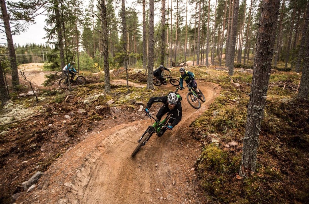 Gullia med 13km sti var første delprosjekt i Trysil Bike Arena. Foto: Øyvind Aas Gullia Sept 2015 - Øyvind Aas 1400x924