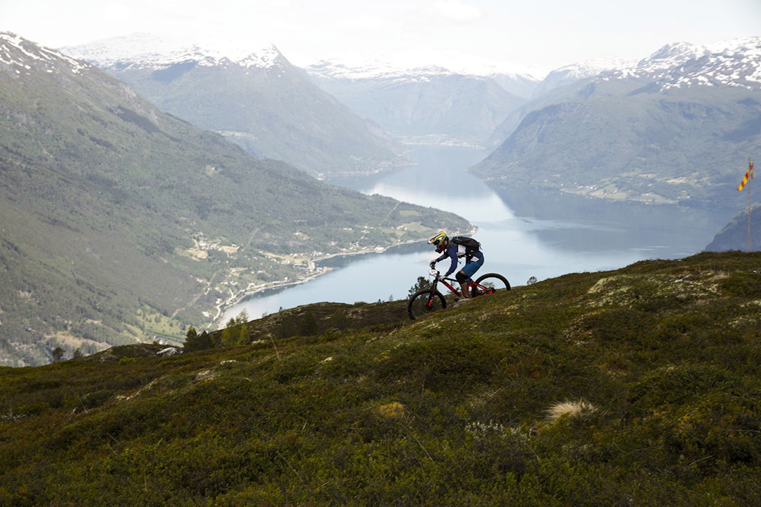 Hilde copy Hilde copy