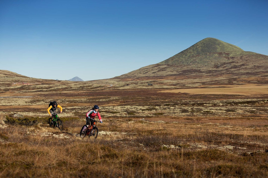 SETT DET FØR?: Har du kjørt den nasjonale turistveien over Venabygdsfjellet, vil du kjenne igjen landskapet på dette bildet. Kjell Arne Høyesveen og Julia Hamre viser frem bakgården sin til Terrengsykkel. Foto: Kristoffer H. Kippernes. SETT DET FØR?: Har du kjørt den nasjonale turistveien over Venabygdsfjellet, vil du kjenne igjen landskapet på dette bildet. Kjell Arne Høyesveen og Julia Hamre viser frem bakgården sin til Terrengsykkel. Foto: Kristoffer H. Kippernes.