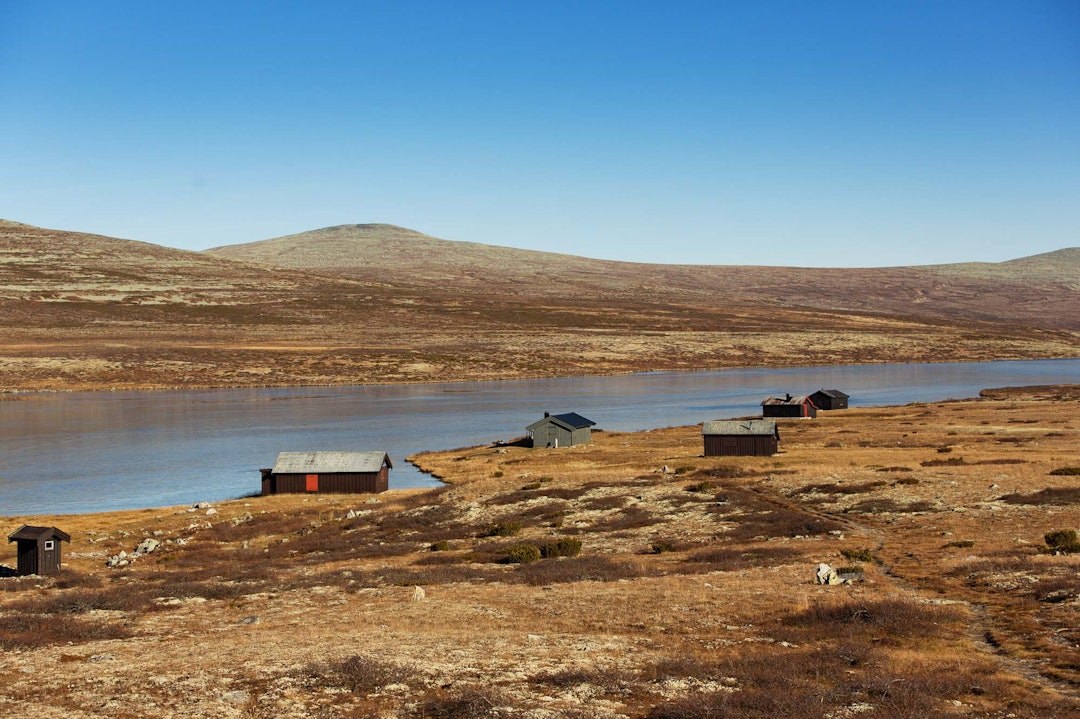 SETERLIV: En stille scene fra fjellet en høstdag. Foto: Kristoffer H. Kippernes. SETERLIV: En stille scene fra fjellet en høstdag. Foto: Kristoffer H. Kippernes.