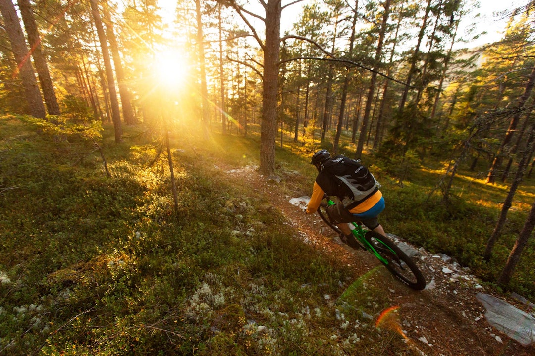 BLANDA DROPS: Stisykling i dette området kan være så mangt. Kjell Arne Høyesveen setter sving ned mot Ringebu sentrum. Foto: Kristoffer H. Kippernes. BLANDA DROPS: Stisykling i dette området kan være så mangt. Kjell Arne Høyesveen setter sving ned mot Ringebu sentrum. Foto: Kristoffer H. Kippernes.