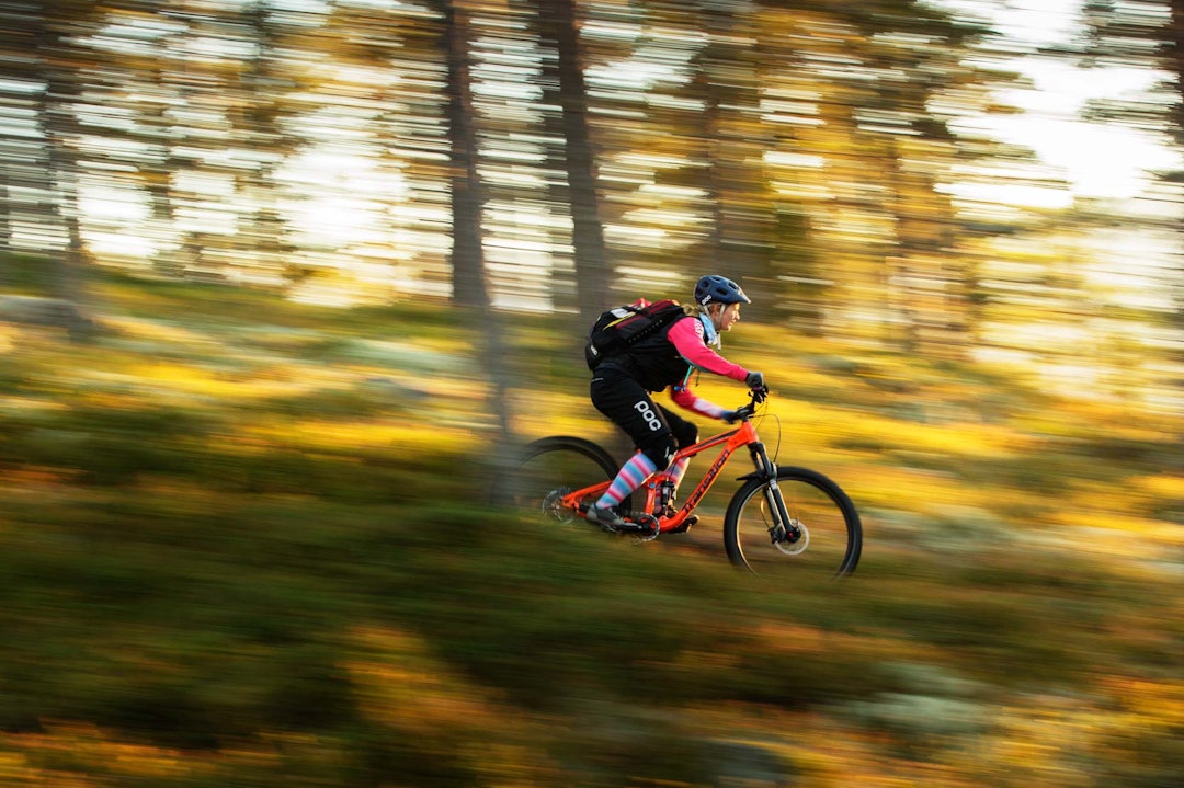 FURUSKOG: Julia Hamre kjenner stiene rundt Ringebu bedre enn de fleste. Foto: Kristoffer H. Kippernes. FURUSKOG: Julia Hamre kjenner stiene rundt Ringebu bedre enn de fleste. Foto: Kristoffer H. Kippernes.