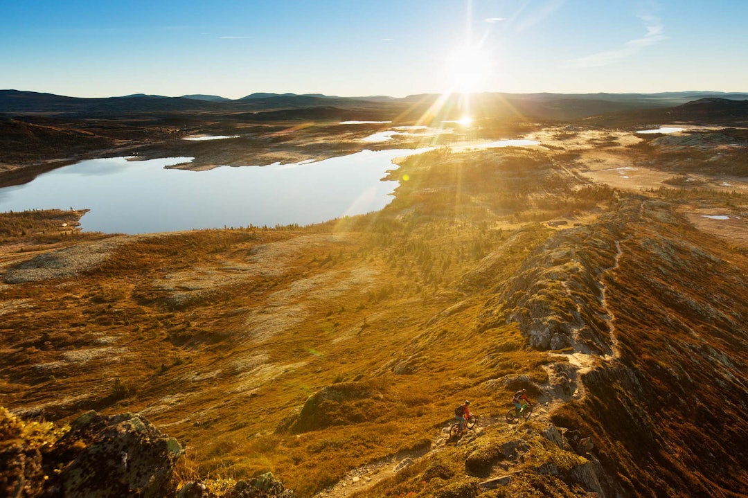 SOM I EN DRØM: Stien ned fra Svartfjellet er ikke lang, men underholdende. Foto: Kristoffer H. Kippernes. _IPP6856
