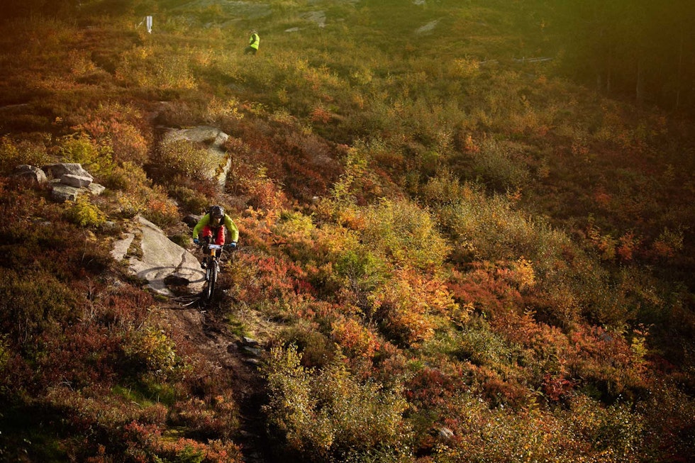 OPPLEGG I ANLEGG: FE4 byr på høy fart, mer eller mindre rett ned traseen i alpinanlegget. _MG_0232