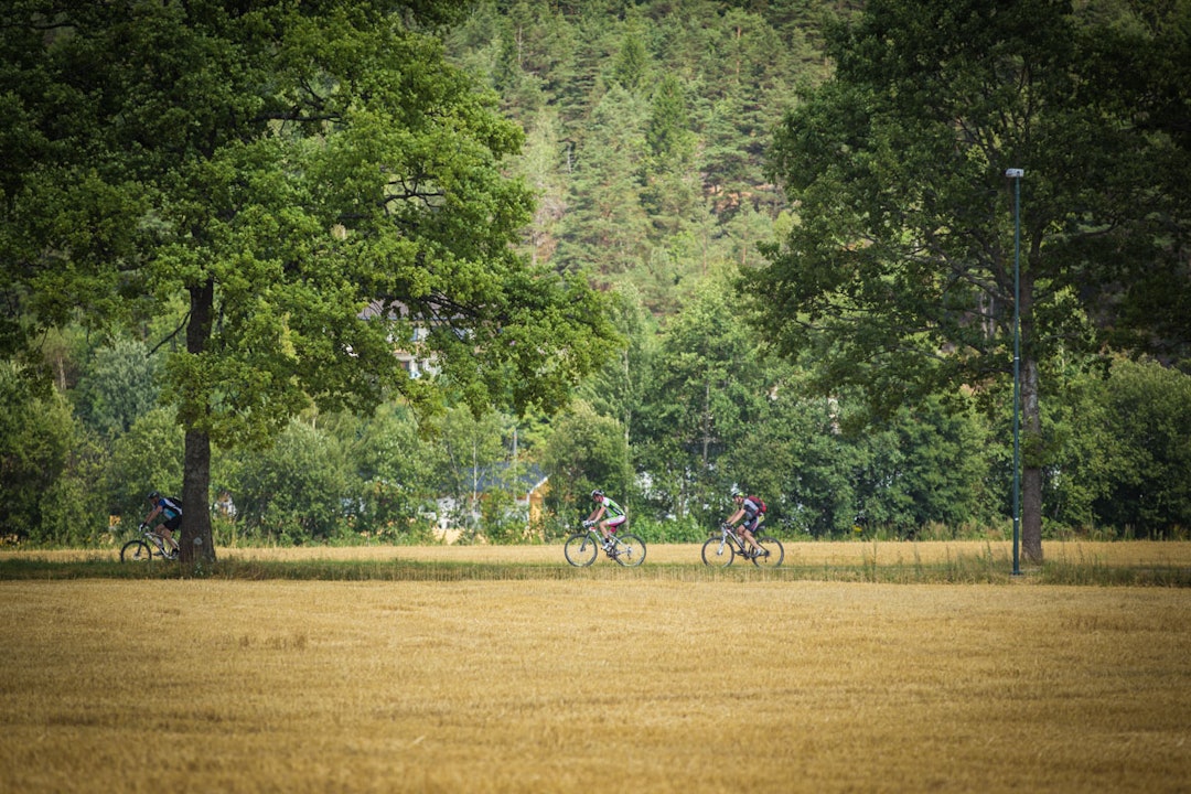 Grenserittet-186 Grenserittet-186