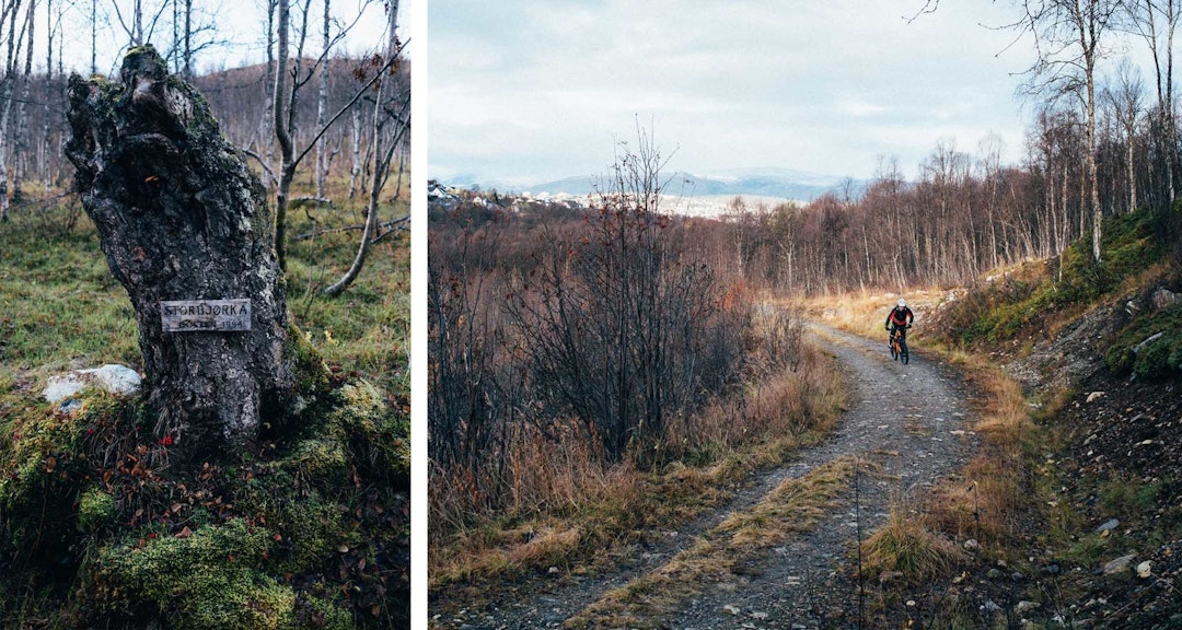 OPPTUR: Turen tar til på forholdsvis lett underlag. Foto: Sjur Melsås stiguide turtips bønntuva tromsø
