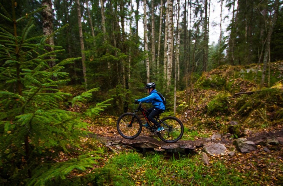 NOTS Oslo og Omegn er prosjekteledere for Skullerudprosjektet, som har resultert i 9km tilrettelagt sti, også kjent som Pioneren. Foto: Snorre Veggan Pioneren smal sti - Snorre Veggan 1400x924