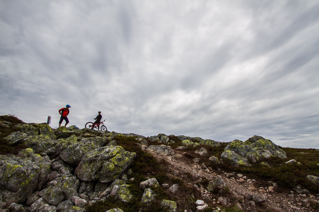 utflukt-3633a utflukt-3633a