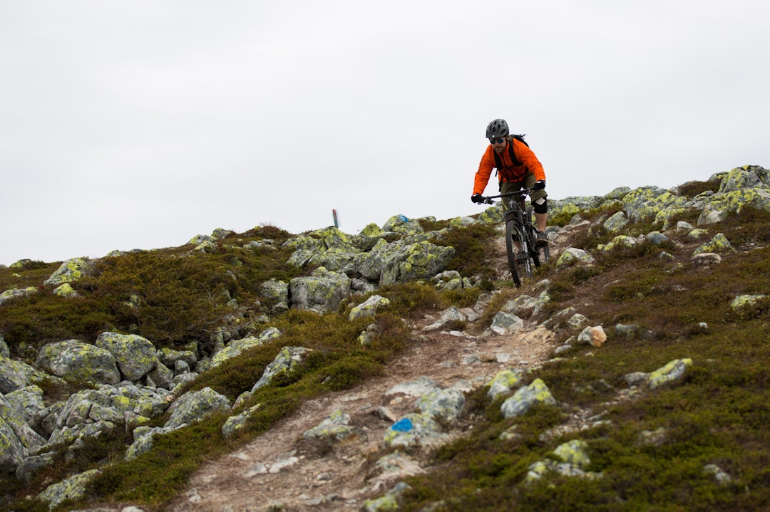 utflukt-0031a utflukt-0031a