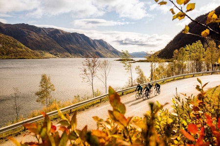 FJORD OG FJELL: Det kan se slik ut, men Totak er en innsjø, midt i Sør-Norge. Men omgivelsene kan vi like.  FJORD OG FJELL: Det kan se slik ut, men Totak er en innsjø, midt i Sør-Norge. Men omgivelsene kan vi like.