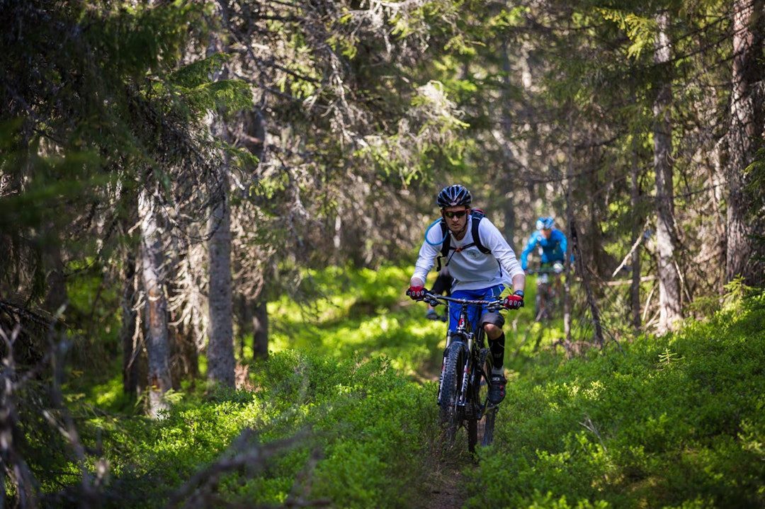 utflukt-8617a utflukt-8617a