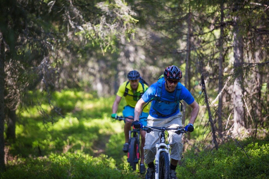 utflukt-8648a utflukt-8648a