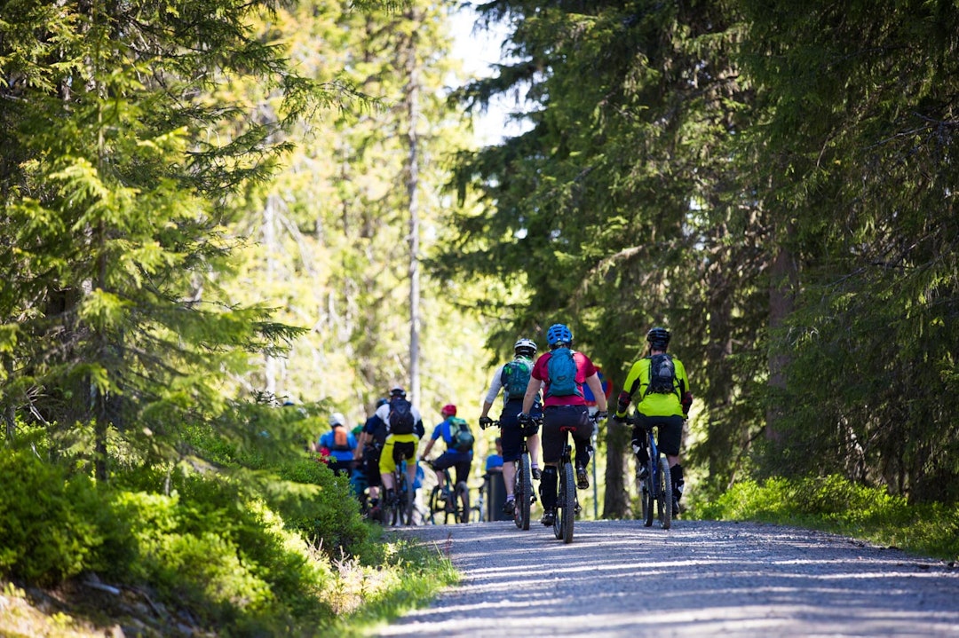 utflukt-8674a utflukt-8674a