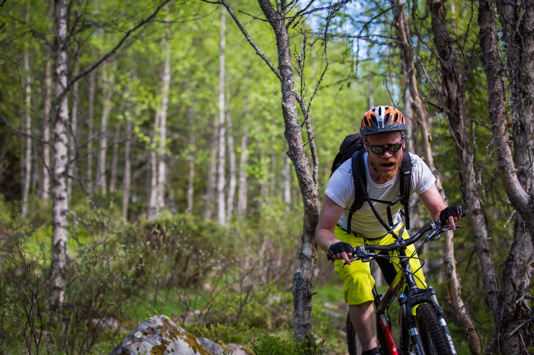 utflukt-8806a utflukt-8806a