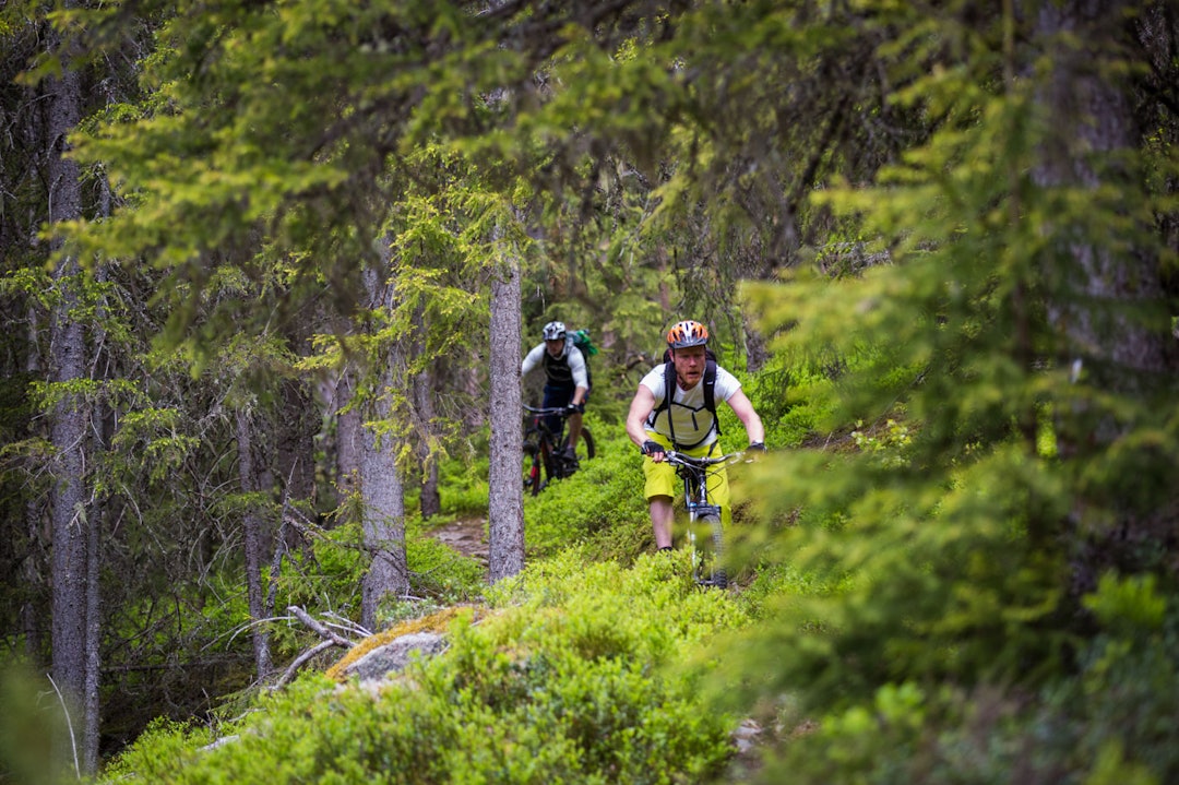 utflukt-9034a utflukt-9034a