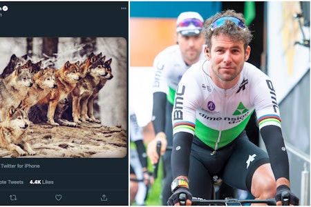 MED GAMLE VENNER: Mark Cavendish er nå tilbake i Deceuninck-Quickstep. Foto: Cor Vos/Twitter. Mark cavendish