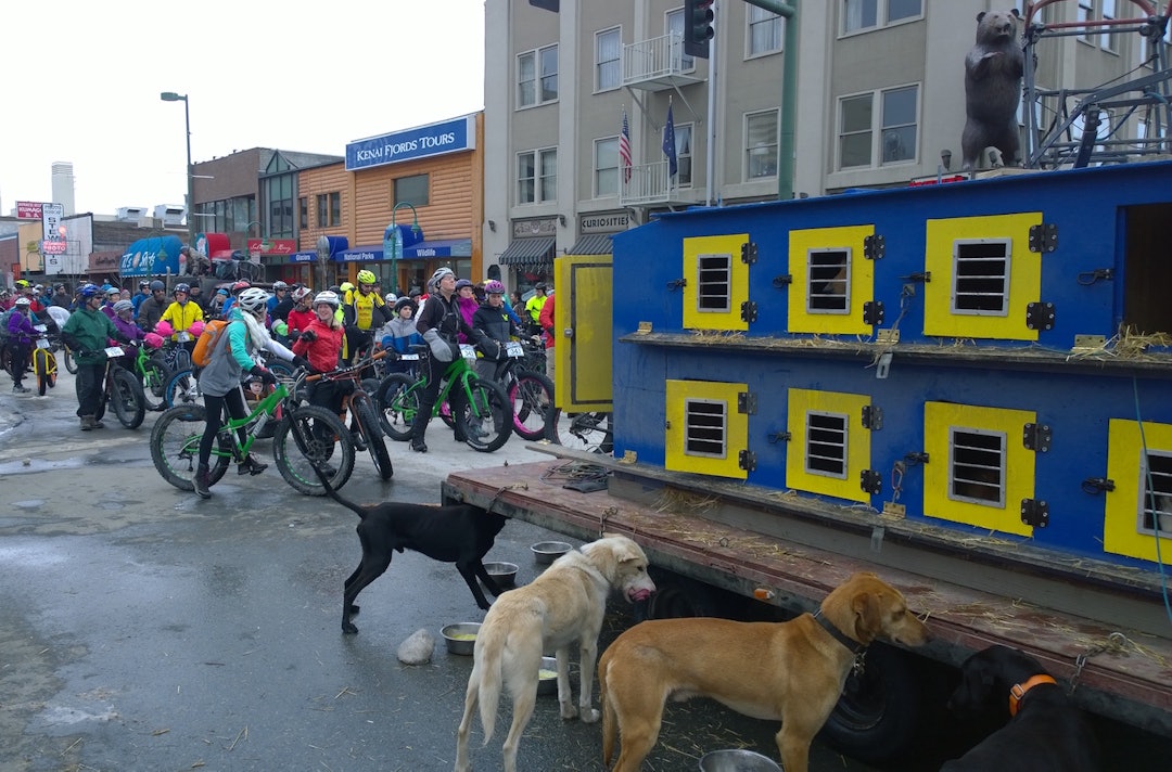 Syklister og hundekjørere i skjønn forening like før start på Big Fat Ride 2016. Foto: Nina Gässler Big fat ride 2016 - Privat 1400x924