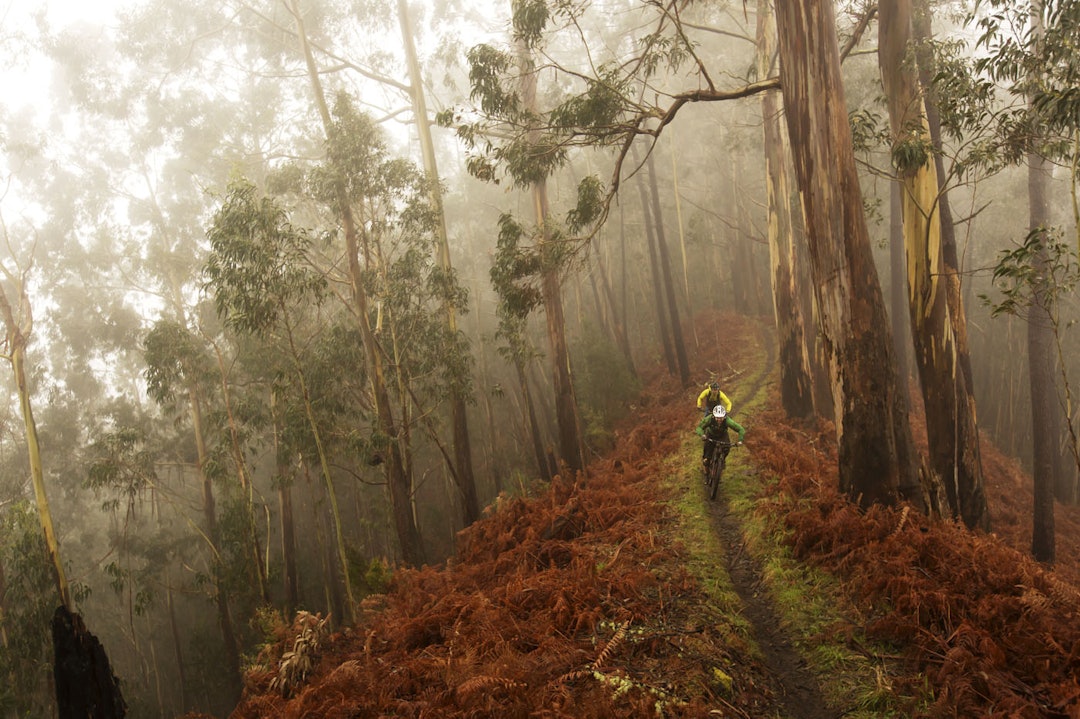 JUNGELEN: Hver eneste dag på øya innebar nye stier, ny type natur og annerledes vær. 30 minutter før dette bildet ble tatt, sto rytterne i et vidde-lignende landskap flere hundre høydemeter lenger oppe. Foto: Kristoffer Kippernes JUNGELEN: Hver eneste dag på øya innebar nye stier, ny type natur og annerledes vær. 30 minutter før dette bildet ble tatt, sto rytterne i et vidde-lignende landskap flere hundre høydemeter lenger oppe. Foto: Kristoffer Kippernes