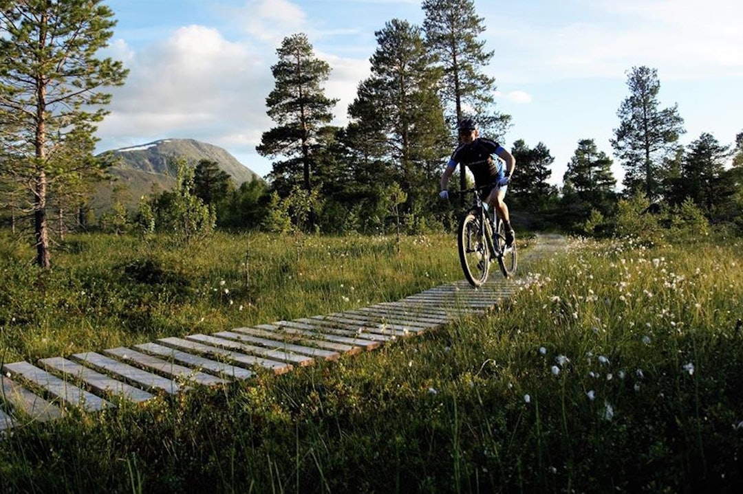 Da Sykkelenern skulle legge om løypa gikk de for mer sti, og av typen flyt. Foto: Arrangøren Sykkelenern 2017 - Foto Arrangøren 1400x933