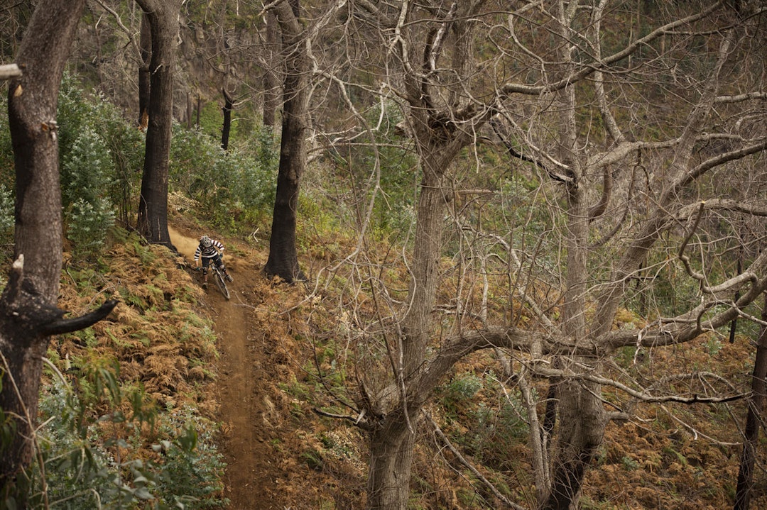 GUIDEN SELV: John Fernandes kjenner stiene på madeira bedre enn de fleste. Turfølget fikk nyte godt av lokalkunnskapen. Foto: Kristoffer Kippernes. GUIDEN SELV: John Fernandes kjenner stiene på madeira bedre enn de fleste. Turfølget fikk nyte godt av lokalkunnskapen. Foto: Kristoffer Kippernes.