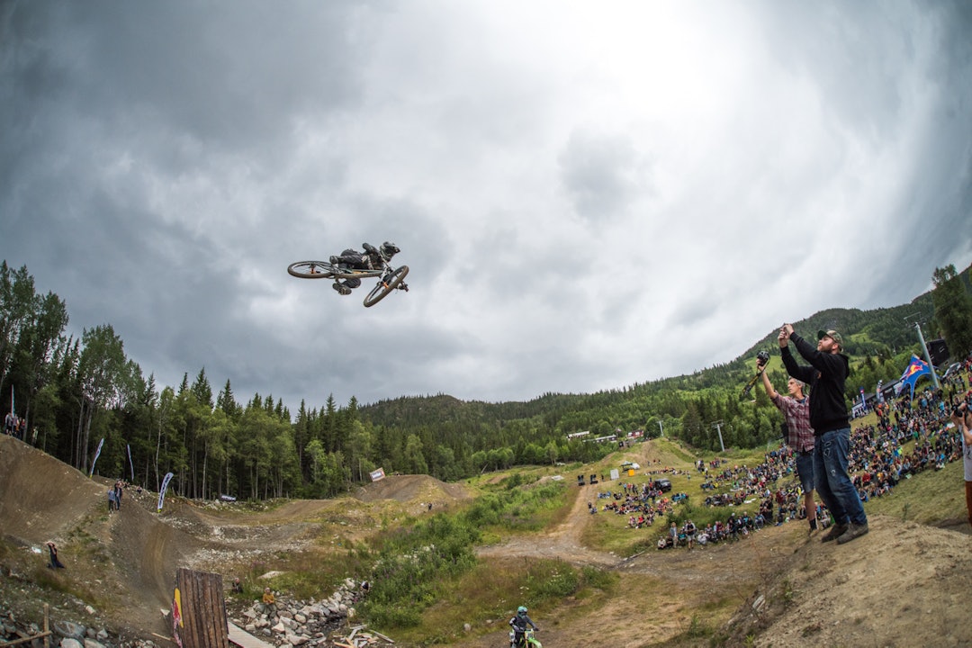 FEST series _DSC4792