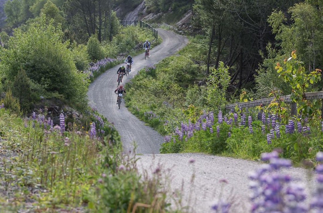 NORDSJØRITTET går hovedsakelig på vei, men vakkert er det likevel. Foto: Nordsjørittet Nordsjørittet 2015 - Photo Nordsjørittet 1400x924