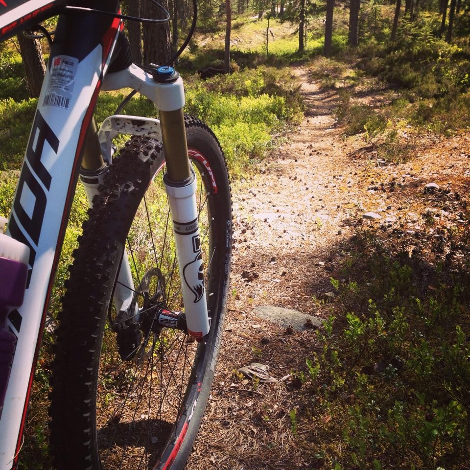 TØRT: Stiene i åsene nedenfor Norefjell er klare for ritt. Foto: N-3 TØRT: Stiene i åsene nedenfor Norefjell er klare for ritt. Foto: N-3