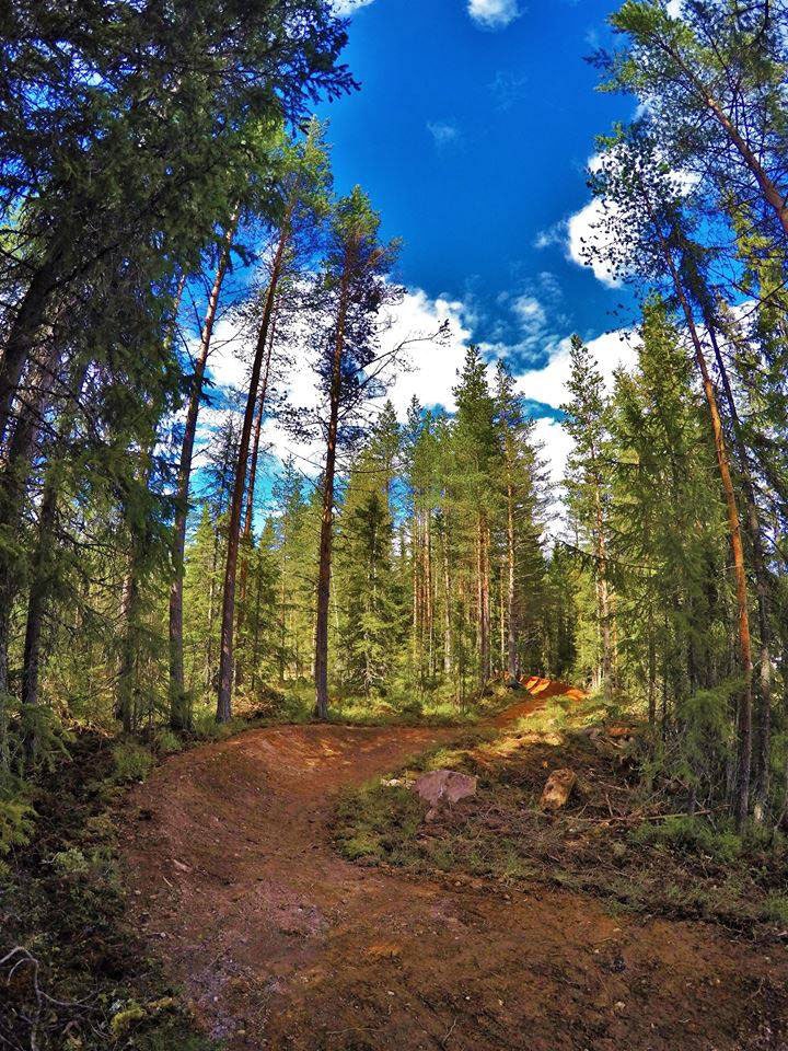 SVING PÅ SVING: Tilrettelagte sykkelstier er bare noe av det som venter deltakerne på Utflukt.Foto: Trysil Bike Arena / Bike Solutions. 11427719_10153140141566943_8056562127621679854_n