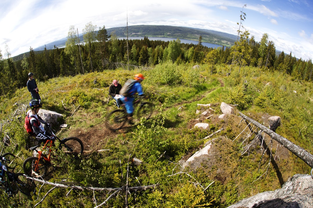 OVERSKUELIG SKOG: Starten på SS2 bød på flott utsikt over Randsfjorden. Ove Grøndal tråkker i vei. _IPP9265