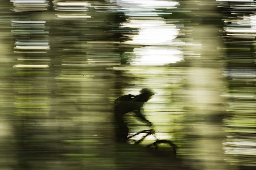 SKYGGER I SKOGEN: Med skarp sol ble det mye inn og ut av skyggepartier. _KHK5655