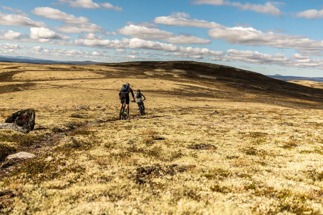 Lanserer ny stifestival på Røros | TERRENGSYKKEL.NO