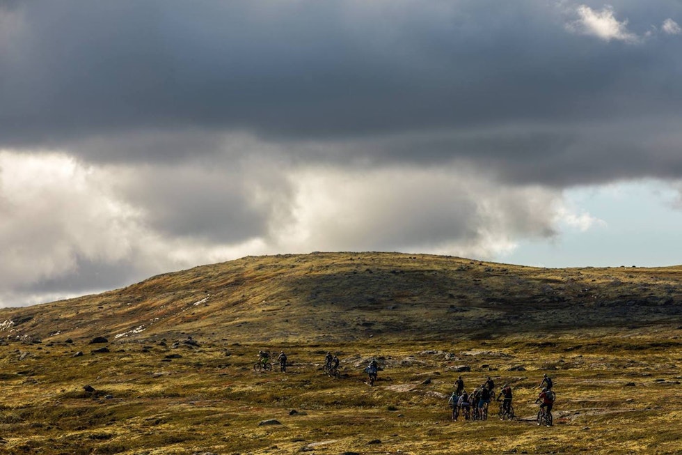 Flytstier over tregrensa er generelt svært populært, sier arrangøren av Røroscampen. Foto: Haakon Funderud Lundkvist Røroscampen - Haakon Funderud Lundkvist
