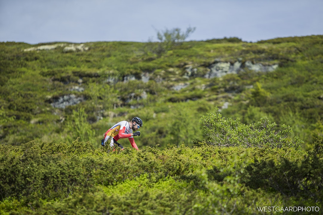 NM Bukkerittet 2017 Foto Pål Westgaard _O0V8668