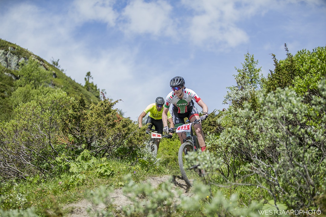 NM Bukkerittet 2017 Foto Pål Westgaard _O0V8893